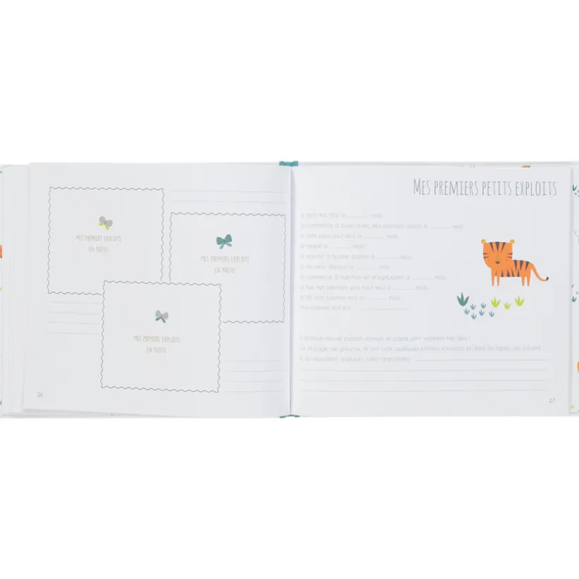 Album de naissance garçon