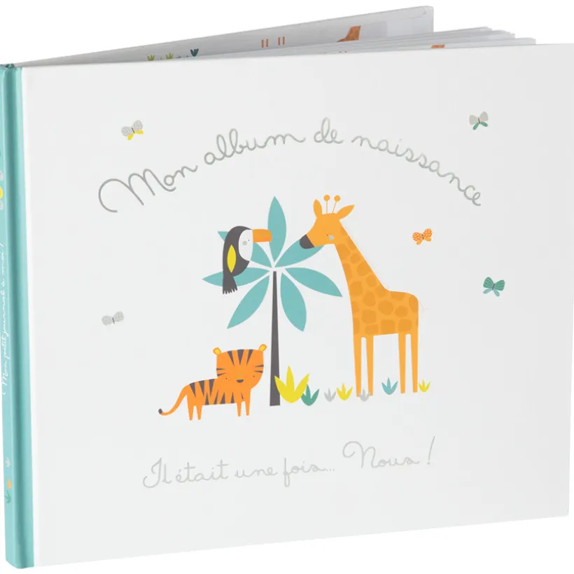 Album de naissance garçon
