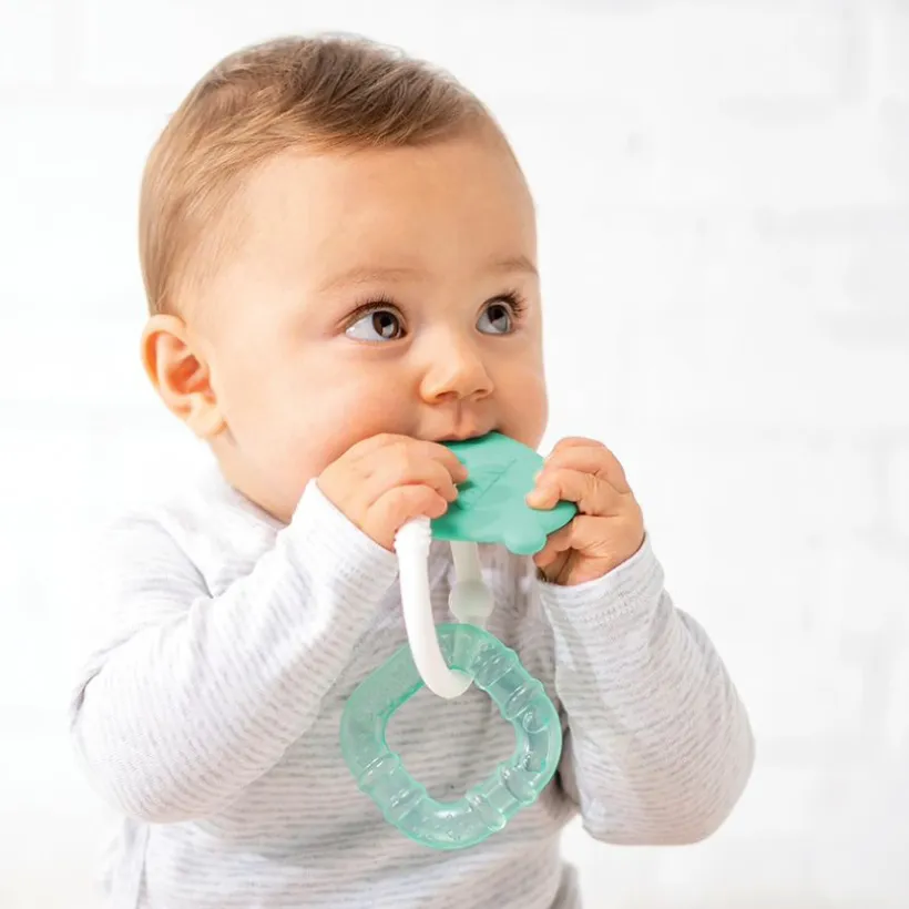 Anneau de dentition réfrigérant en silicone - Vert