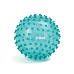 Balle sensorielle à picots bleu