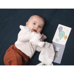 Cartes photo de naissance bébé garçon x28