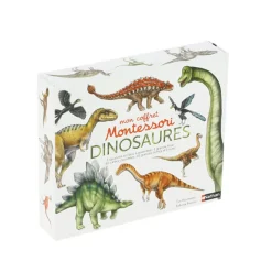 Coffret des dinosaures