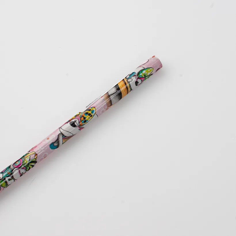 Crayon à papier Diddl et ses amis (Modèle Aléatoire)
