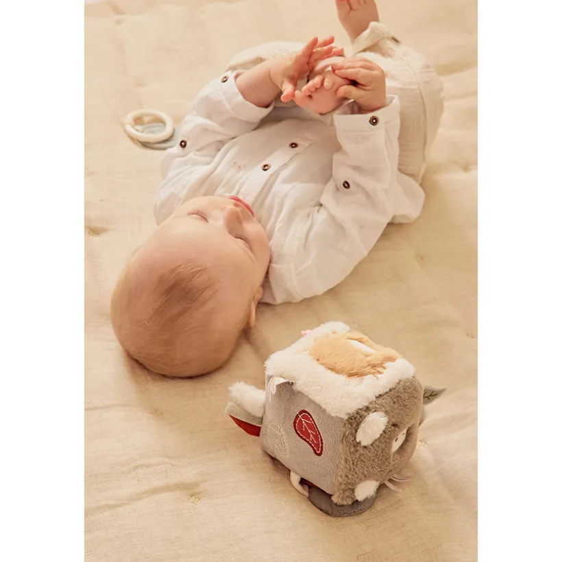 Cube multi-activités Fluffy Orso & Lily