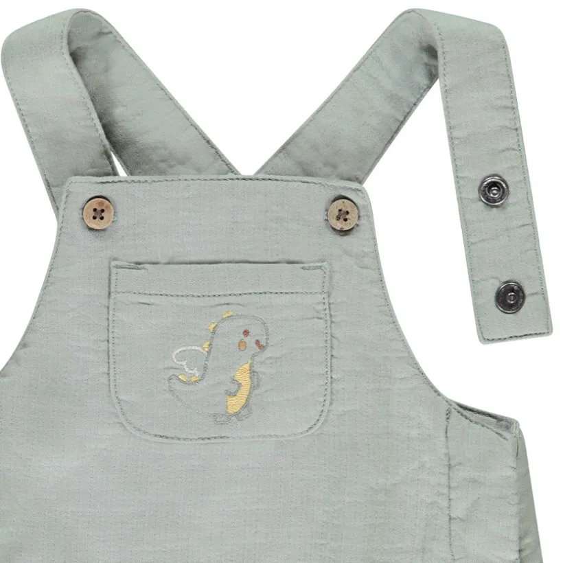 Ensemble salopette + t-shirt manches longues dragon pour bébé garçon