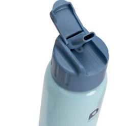 Gourde en métal Mes amis les dinos avec paille 380 ml