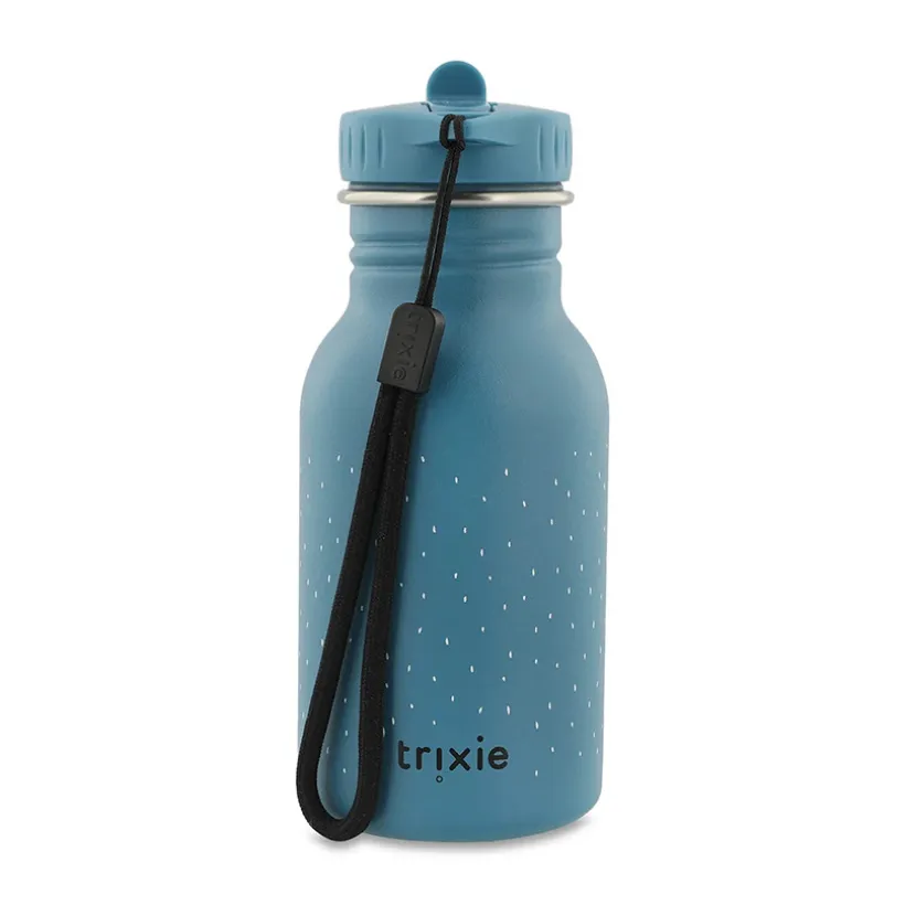 Gourde Mr. Triceratops 350 ml