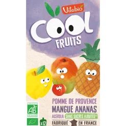 Gourdes sucrées Cool Fruits de Pomme, Mangue et Ananas 12x90g