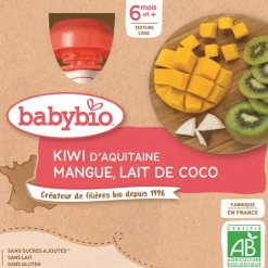 Gourde sucrée Kiwi, Mangue et Lait de Coco 4x90g
