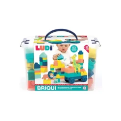 Jouet de construction Briqui