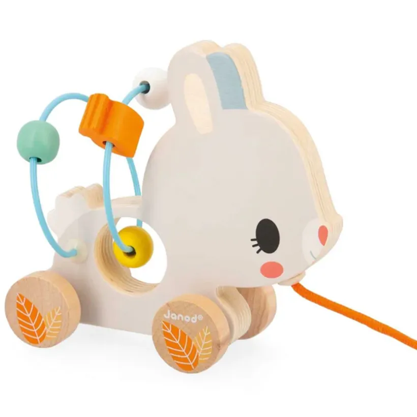 Jouet en bois Baby Looping Animaux (modèle aléatoire)