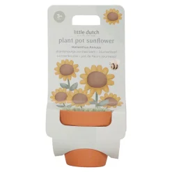 Kit de plantation de tournesol