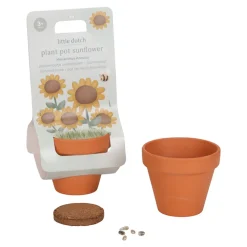 Kit de plantation de tournesol