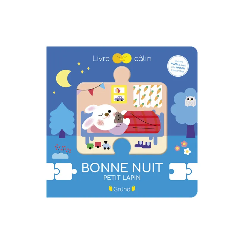 Livre Bonne nuit petit lapin