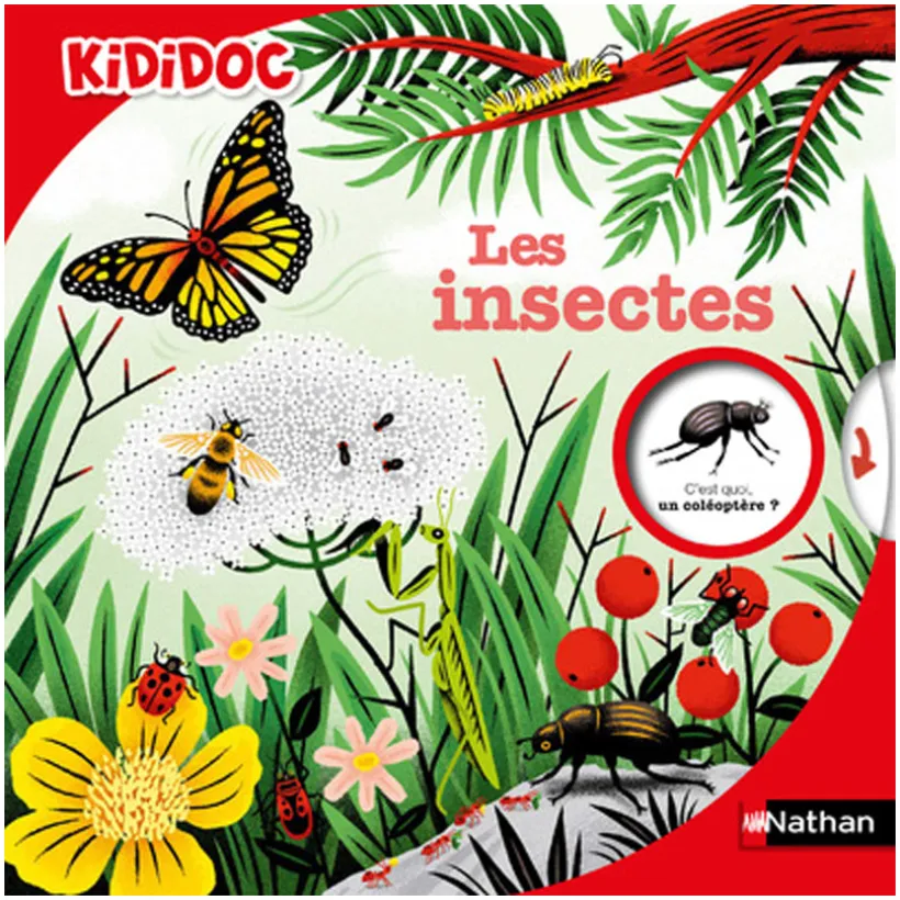 Livre Les insectes