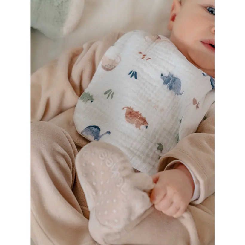 Lot de 3 bavoirs mousseline Bio Dinos 1-12m