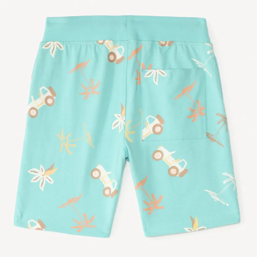 Lot de 4 bermudas fantaisie en maille pour garçon