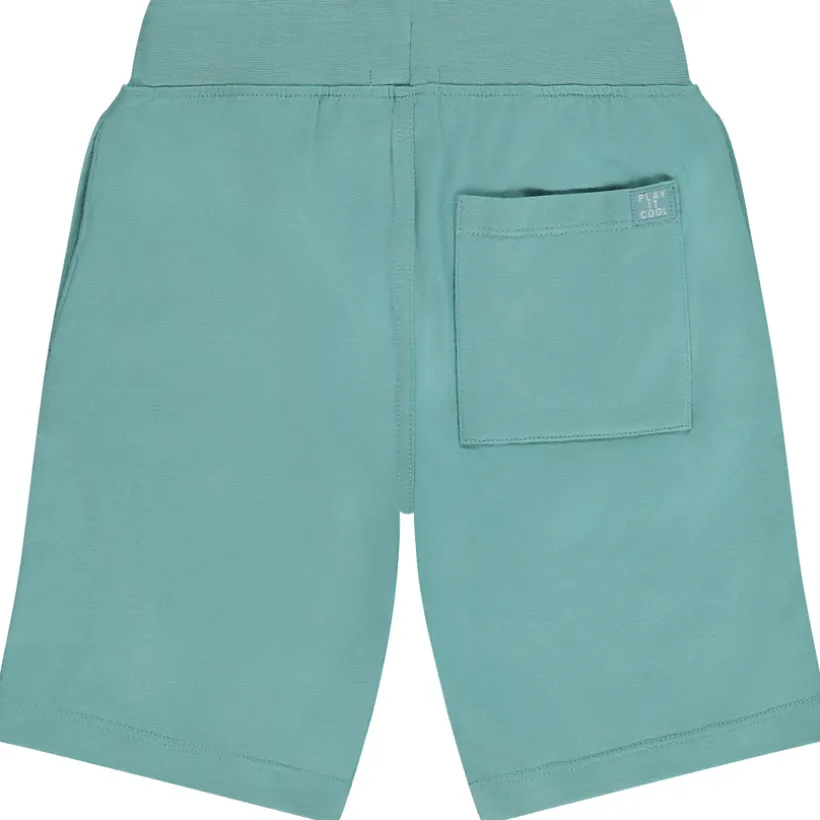Lot de 2 bermudas unis pour garçon