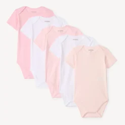 Lot de 5 bodies manches courtes