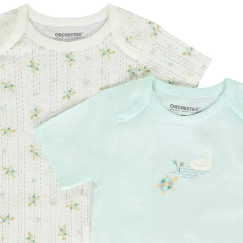 Lot de 5 bodies manches courtes motifs tortues pour bébé fille avec ouvertures différentes selon l'âge