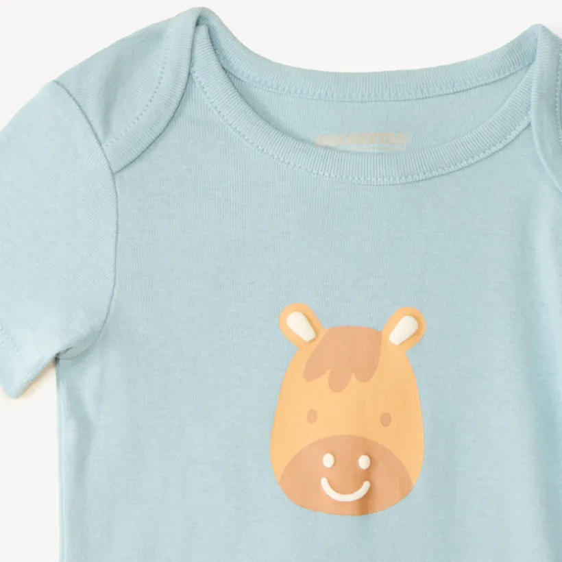 Lot de 5 bodies manches courtes design petit cheval pour bébé garçon