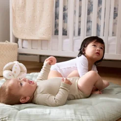 Lot de 5 bodies manches longues unis pour bébé