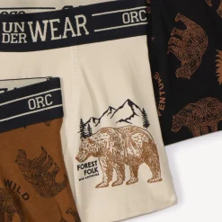 Lot de 5 boxers Bear fantaisie pour garçon