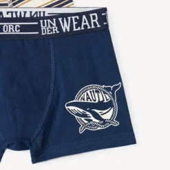 Lot de 5 boxers fantaisies pour garçon