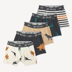 Lot de 5 boxers motifs dinosaure pour garçon