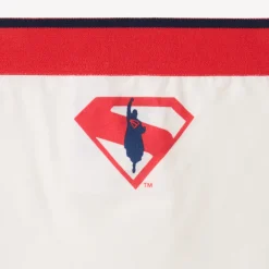 Lot de 3 boxers Superman Warner pour garçon