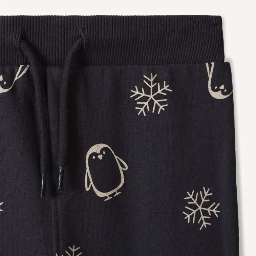 Lot de 2 ensembles de joggings molletonnés pour bébé garçon