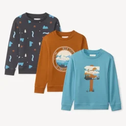 Lot de 3 sweats molleton fantaisies pour garçon