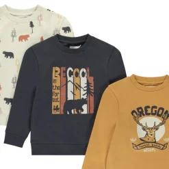Lot de 3 sweats molleton motifs fantaisie pour garçon