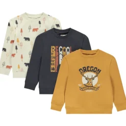 Lot de 3 sweats molleton motifs fantaisie pour garçon