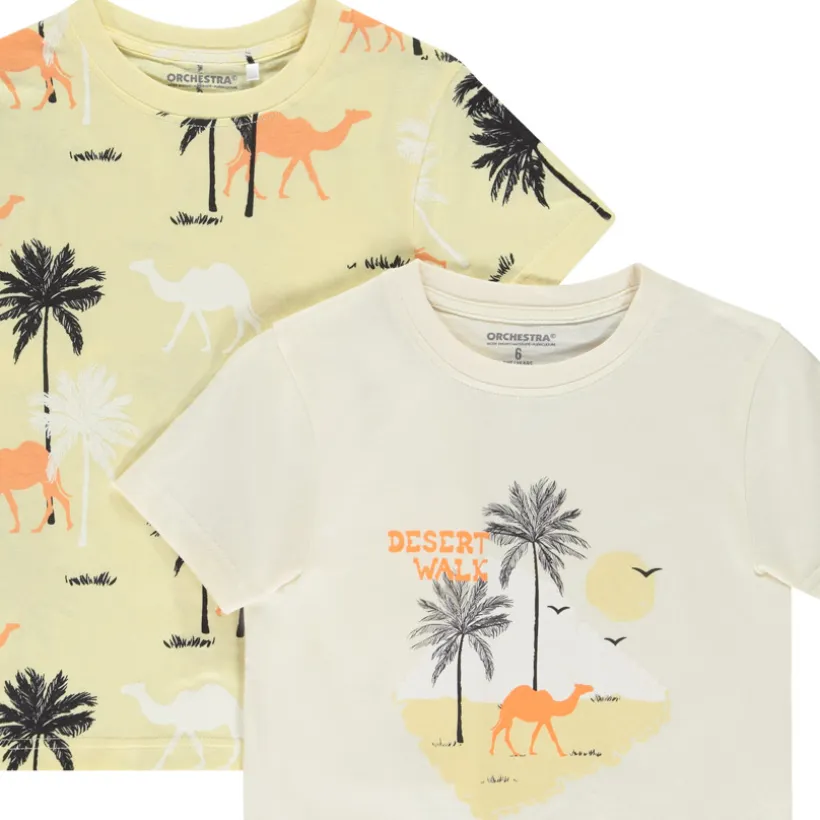 Lot de 2 t-shirts manches courtes fantaisie pour garçon