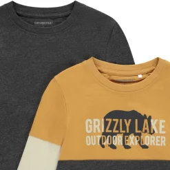 Lot de 2 t-shirts manches longues effet color block pour garçon
