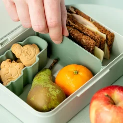 Lunchbox avec séparateur Playground vert