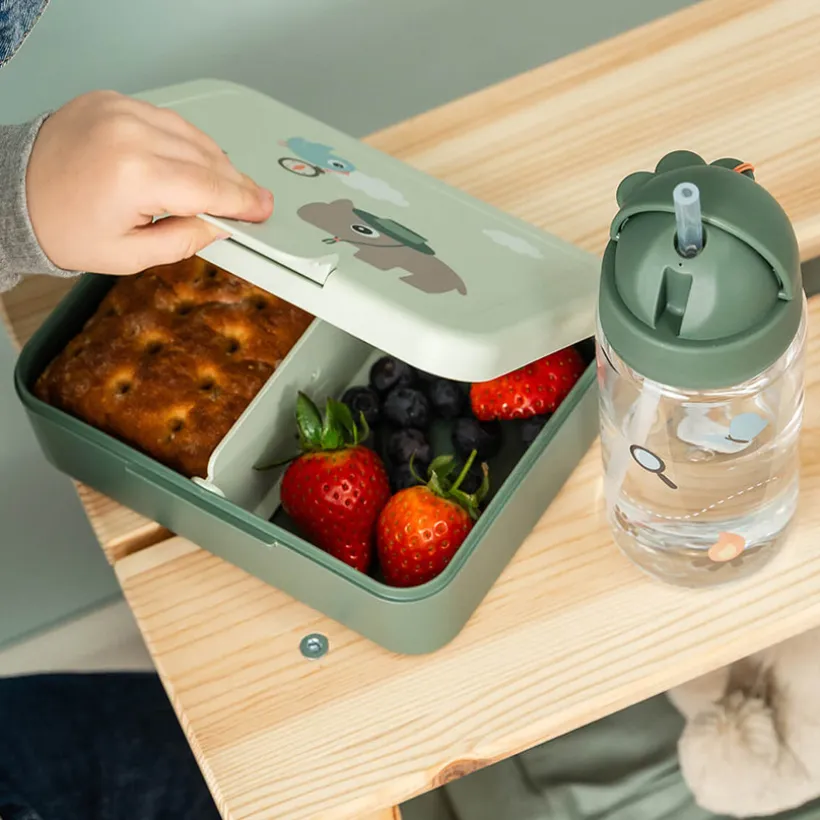 Lunchbox avec séparateur Tiny Trails Vert
