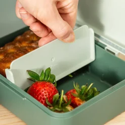 Lunchbox avec séparateur Tiny Trails Vert