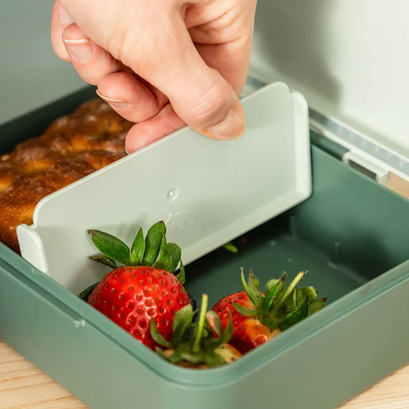 Lunchbox avec séparateur Tiny Trails Vert