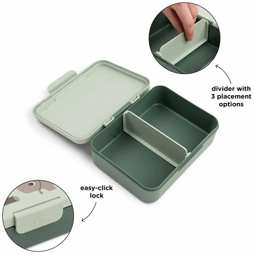 Lunchbox avec séparateur Tiny Trails Vert