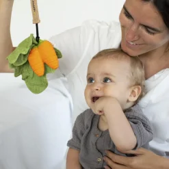 Mini doudou et jouet de dentition 2 en 1 Cathy la carotte