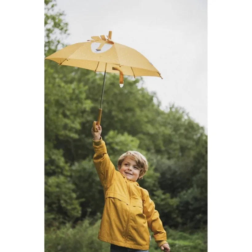 Parapluie Mr Lion