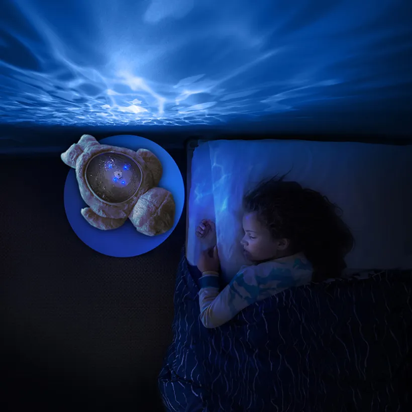 Projecteur phoque Aqua Dream gris
