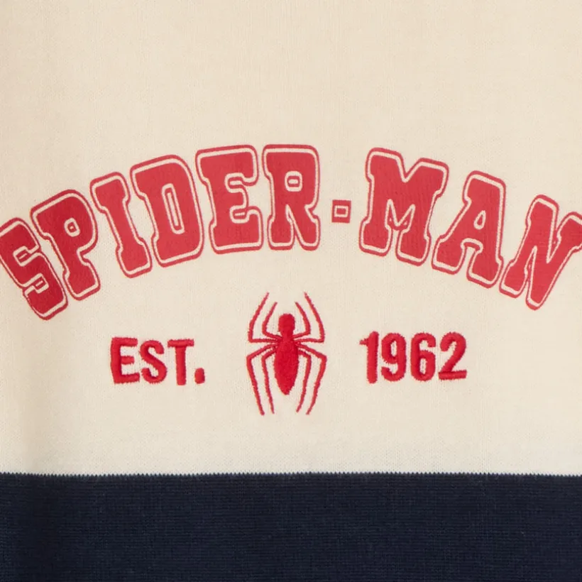 Pull bicolore Spider-Man Marvel pour garçon
