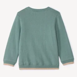 Pull en tricot doublé motif dino en relief pour bébé garçon