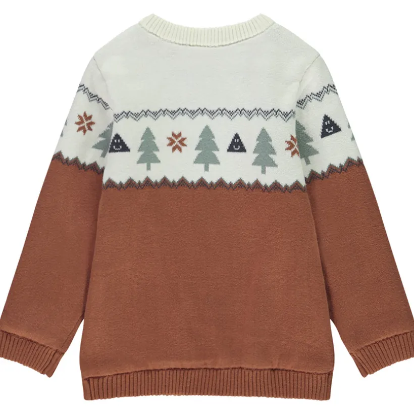 Pull en tricot jacquard doublé velours pour bébé garçon