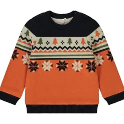 Pull en tricot print fantaisie pour bébé garçon