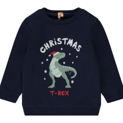 Pull en velours Christmas T-Rex pour bébé garçon