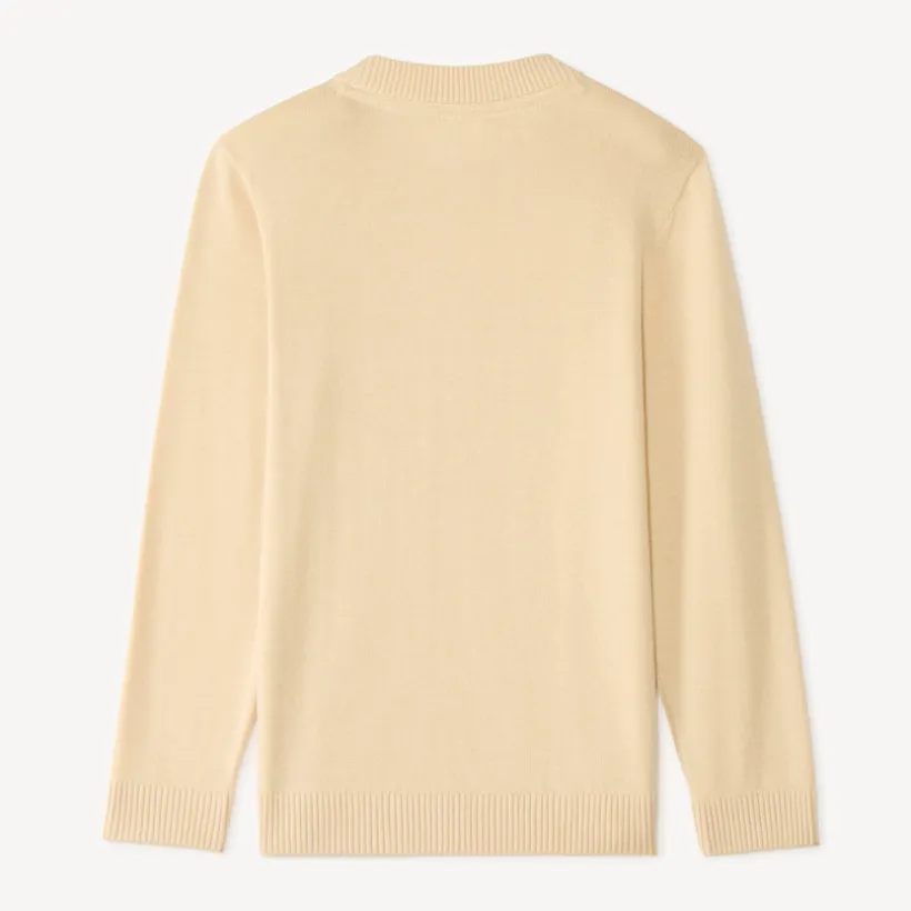 Pull garçon manches longues en tricot imprimé fantaisie